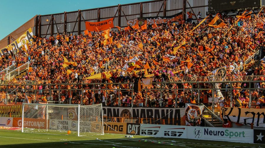 IM电竞 APP — 营业执照与资质公示示意配图